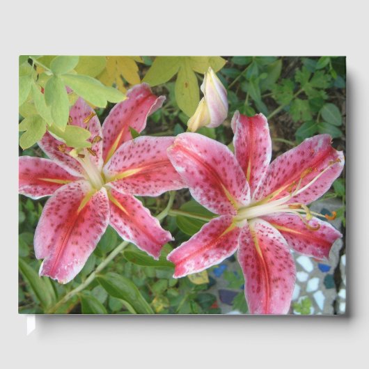 Stargazer Lilies Garden Gästebuch (Vorderseite)
