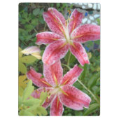 Stargazer Lilies Garden Klemmbrett (Rückseite)