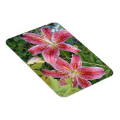 Stargazer Lilies Garden Magnet (Rechte Seite)