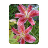 Stargazer Lilies Garden Magnet (Vertikal)
