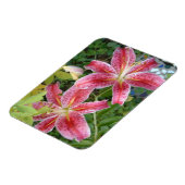 Stargazer Lilies Garden Magnet (Linke Seite)