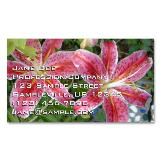 Stargazer Lilies Garden Magnetische Visitenkarte (Vorderseite)