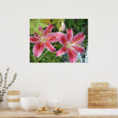 Stargazer Lilies Garden Poster (Küche)