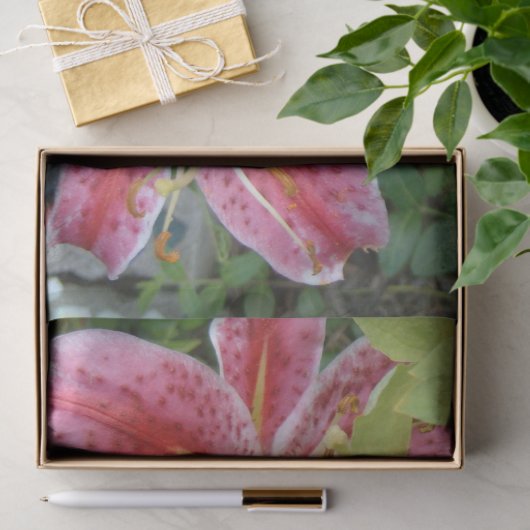 Stargazer Lilies Garden Seidenpapier (Geschenk)