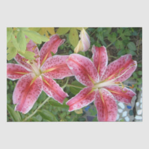 Stargazer Lilies Garden Seidenpapier
