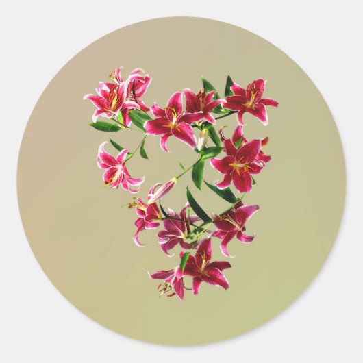 Stargazer Lilies Heart Runder Aufkleber (Vorderseite)
