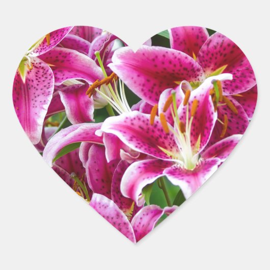 Stargazer Lilies Herz-Aufkleber (Vorderseite)