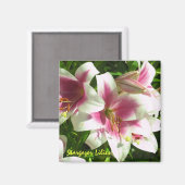 Stargazer Lilies Magnet (Vorderseite/Rückseite)