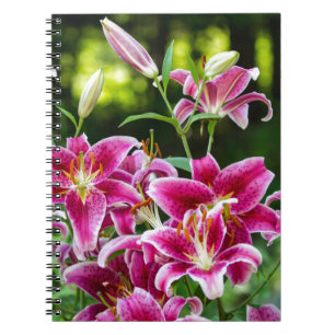 Stargazer Lilies Notizblock