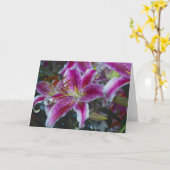 Stargazer Lilies Pink & Magenta Karte (Gelbe Blume)
