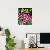Stargazer Lilies Poster (Heimbüro)