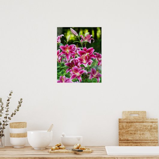 Stargazer Lilies Poster (Küche)