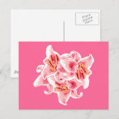 Stargazer Lilies Postkarte (Vorne/Hinten)
