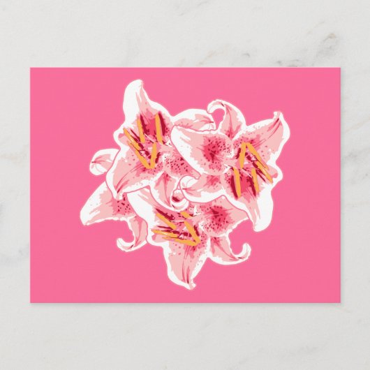 Stargazer Lilies Postkarte (Vorderseite)