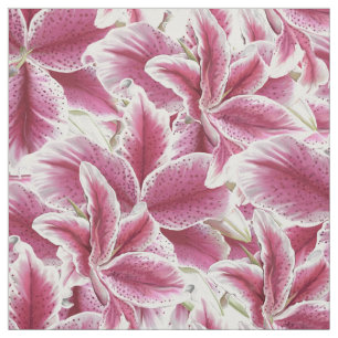 Stargazer Lilly Stoff