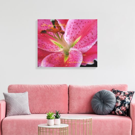 Stargazer Lilly Wrapped Canvas Leinwanddruck (Insitu (Wohnzimmer))