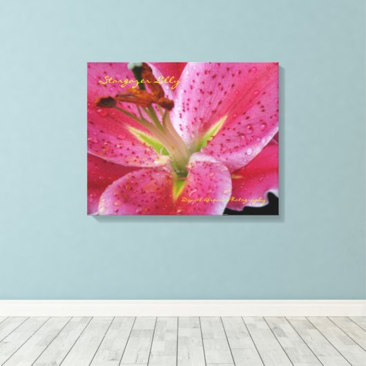 Stargazer Lilly Wrapped Canvas Leinwanddruck (Insitu (Holzboden))