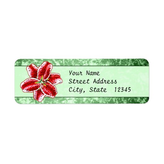 Stargazer Lily (Vorne)