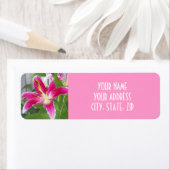 STARGAZER-LILY-ADRESSE-ETIKETT (Insitu)