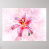 Stargazer Lily Blume Aquarell - wb 01 Poster (Vorne)