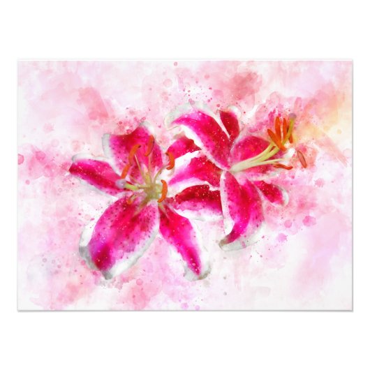 Stargazer Lily Blume Aquarell - wb 03 Fotodruck (Vorne)