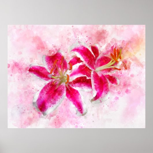 Stargazer Lily Blume Aquarell - wb 03 Poster (Vorne)