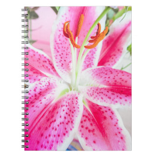 Stargazer Lily Blume Notizblock