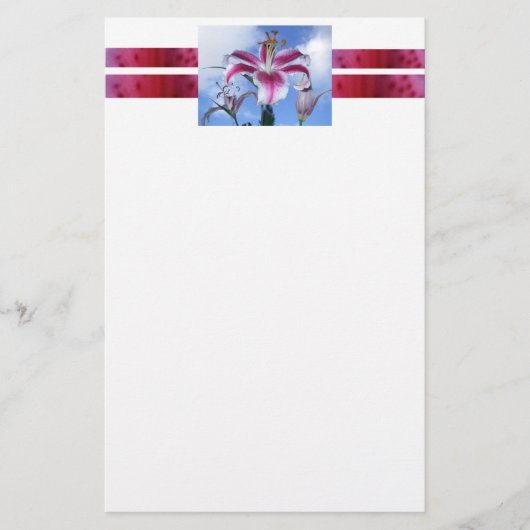 Stargazer Lily Briefpapier (Vorderseite)