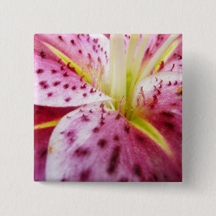 Stargazer Lily Bright Magenta Button