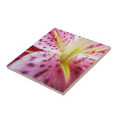 Stargazer Lily Bright Magenta Fliese (Seite)