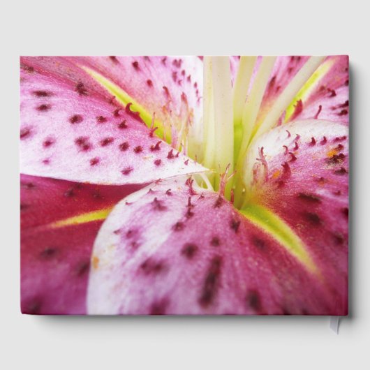 Stargazer Lily Bright Magenta Gästebuch (Rückseite)