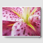 Stargazer Lily Bright Magenta Gästebuch (Rückseite)