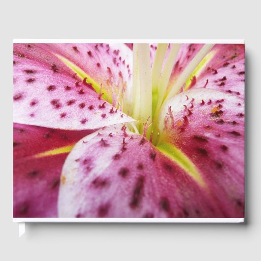 Stargazer Lily Bright Magenta Gästebuch (Vorderseite)