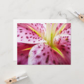 Stargazer Lily Bright Magenta Karte (Vorderseite/Rückseite Beispiel)