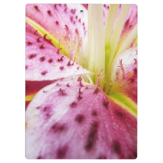 Stargazer Lily Bright Magenta Klemmbrett (Rückseite)