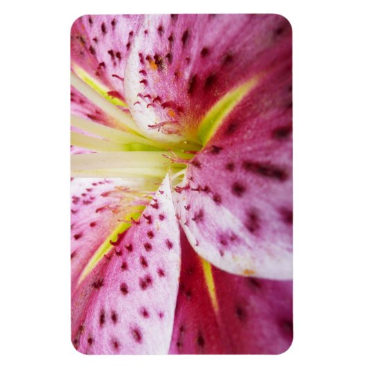Stargazer Lily Bright Magenta Magnet (Vertikal)