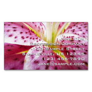Stargazer Lily Bright Magenta Magnetische Visitenkarte