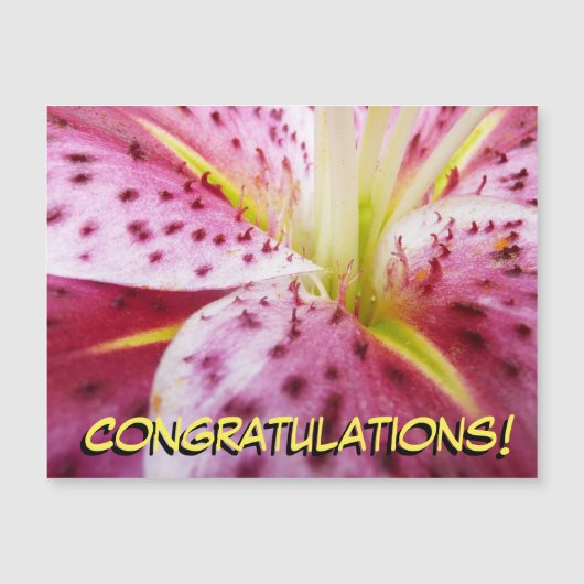 Stargazer Lily Bright Magenta Magnetkarte (Vorderseite)