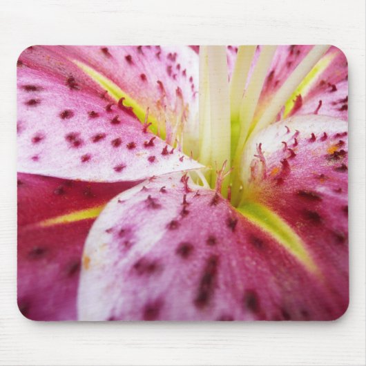 Stargazer Lily Bright Magenta Mousepad (Vorne)