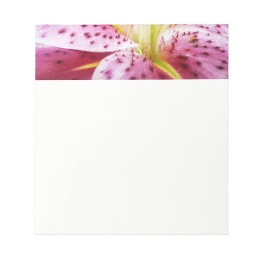 Stargazer Lily Bright Magenta Notizblock (Vorderseite)