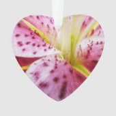 Stargazer Lily Bright Magenta Ornament (Vorderseite)