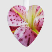 Stargazer Lily Bright Magenta Ornament (Vorderseite)