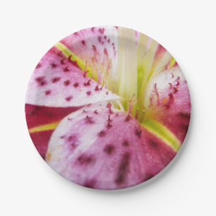 Stargazer Lily Bright Magenta Pappteller