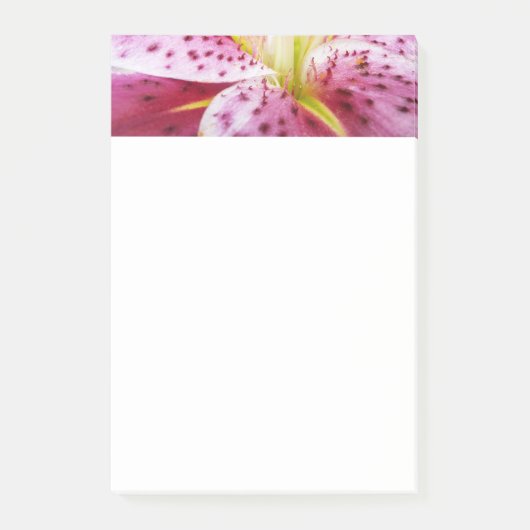 Stargazer Lily Bright Magenta Post-it Klebezettel (Vorderseite)