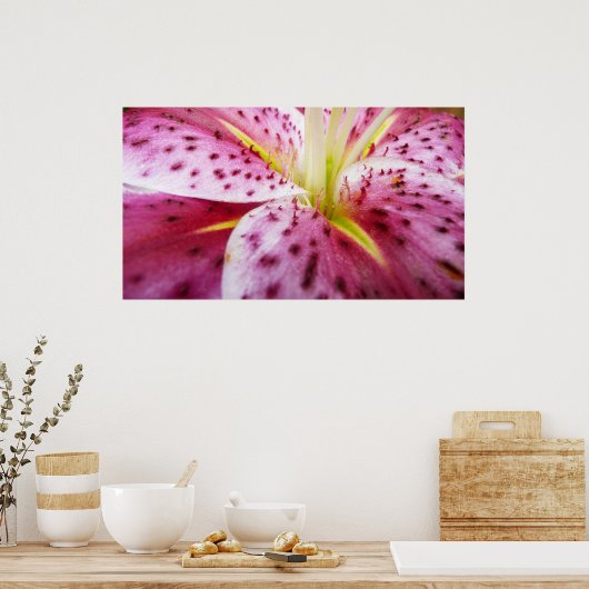 Stargazer Lily Bright Magenta Poster (Küche)