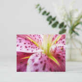 Stargazer Lily Bright Magenta Postkarte (Stehend Vorderseite)