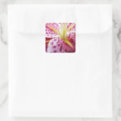 Stargazer Lily Bright Magenta Quadratischer Aufkleber (Tasche)