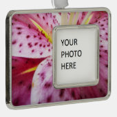 Stargazer Lily Bright Magenta Rahmen-Ornament Silber (Rechts)