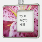 Stargazer Lily Bright Magenta Rahmen-Ornament Silber (Links)