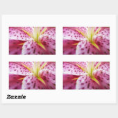 Stargazer Lily Bright Magenta Rechteckiger Aufkleber (Blatt)